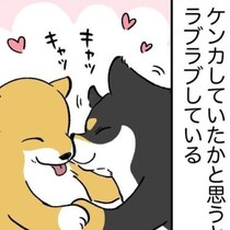 犬好き必見!!柴犬のかわいさが爆発！柴犬兄妹のケンカについて動物病院の先生の回答が秀逸！思わず秒で納得!?【作者に聞いた】