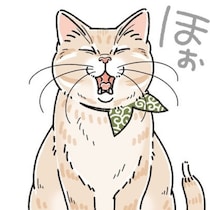 【ネコ漫画】パパの顔にお尻を…。塩対応すぎる愛猫に「下僕夫」が見せた無償の愛【作者に聞く】