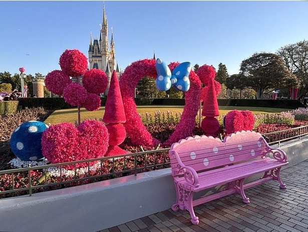 ピンク色のベンチも大人気！