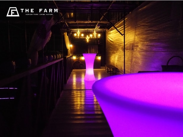 カラフルに彩られた幻想的な空間