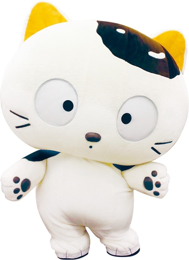 2月22日「猫の日」にはタマに会えるグリーティングイベントも開催