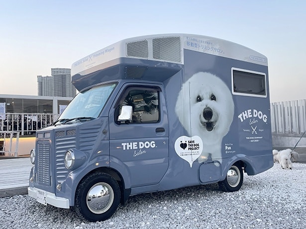 【写真】アッシュブルー×“ぱんちゃん”の象徴的デザイン