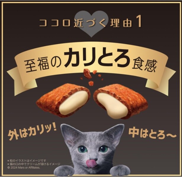 スクリーンショット 2025-07-04 231108
