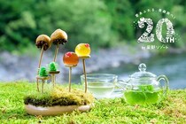 【星野リゾート】新・春の風物詩！苔の花を楽しむ「春のお花見」ならぬ“春のお苔見”が奥入瀬渓流ホテルで開催