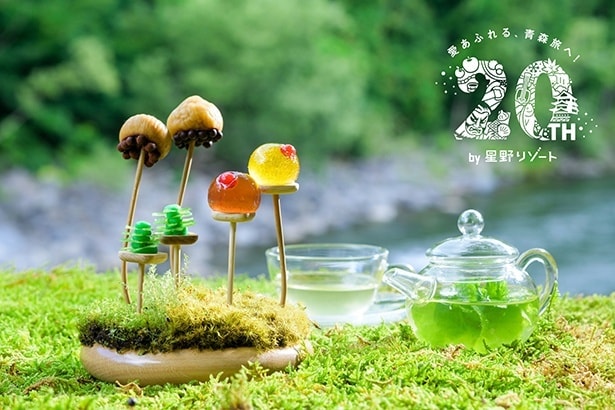 【星野リゾート】新・春の風物詩！苔の花を楽しむ「春のお花見」ならぬ“春のお苔見”が奥入瀬渓流ホテルで開催