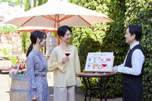 ピーマン通りで開催する「春のロゼワインテイスティング」