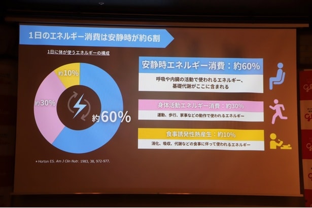 1日に体が使うエネルギーの構成