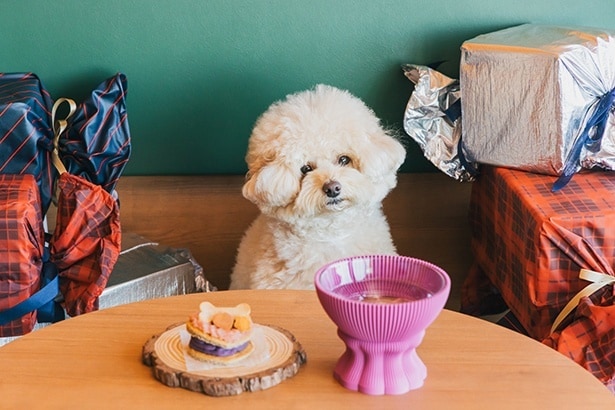 撮影イメージ