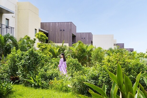 花粉を気にせず庭を散歩ができる