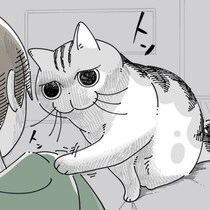 【ネコ漫画】飼い主に撫で足りないとアピールする愛猫!?その姿に「なでなで要求かわいすぎる！」などのコメントが多数