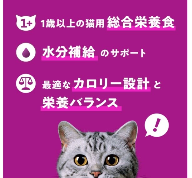 スクリーンショット 2025-06-18 234500