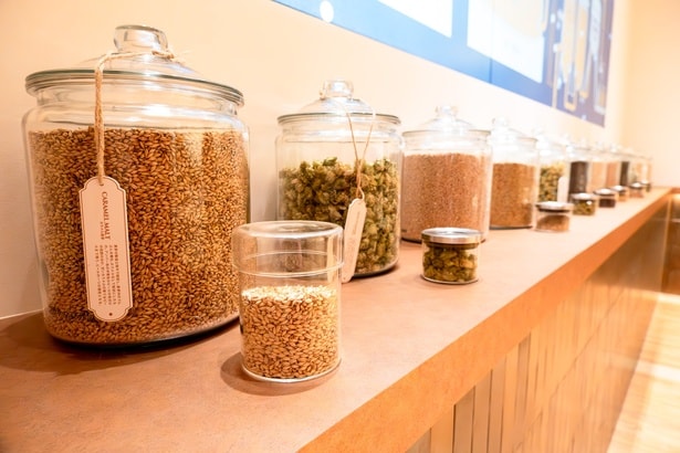 麦芽やホップなど、ビールの素材も展示されている