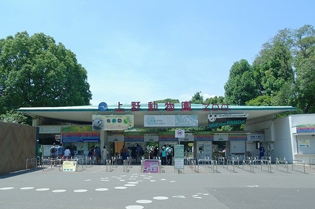 さまざまな動物を展示している