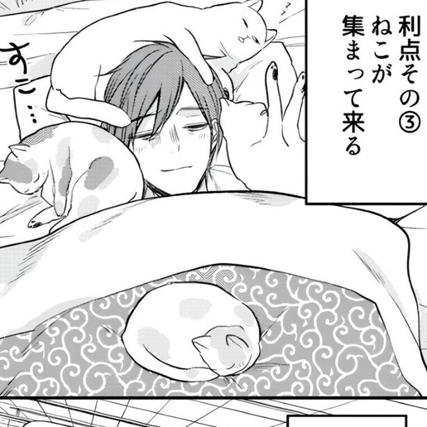 布団を◯◯した結果、猫が寄ってきてくれるように。この気持ちよさは誰にも教えたくない。
