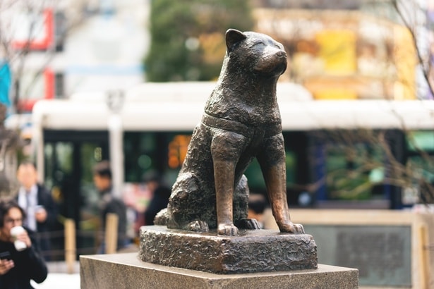 渋谷駅前で今も人々を見守る忠犬ハチ公像