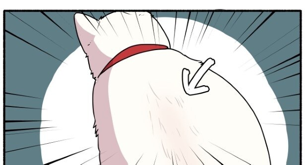 ミコさんがハゲてしまった話_P02