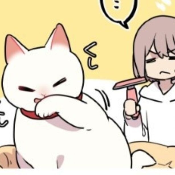【ネコ漫画】そんな猫いるの!?愛猫がハゲた理由に「下手ァ！」「うちの子もハゲるかも」と読者から反響の嵐【作者インタビュー】