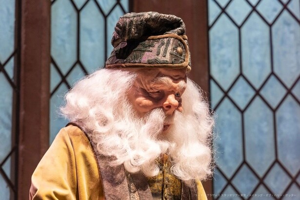  「呪文学」を教えるフリットウィック教授