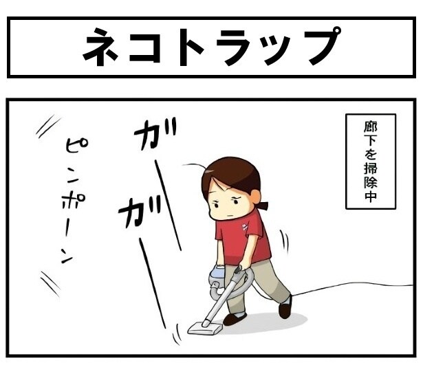 宅配便が届いた！