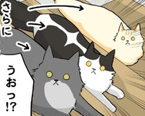 【猫の妨害】宅配便のピンポンに急いで玄関に向かうも階段が下りられない!?リアル“猫踏んじゃった”に!!【作者に聞く】