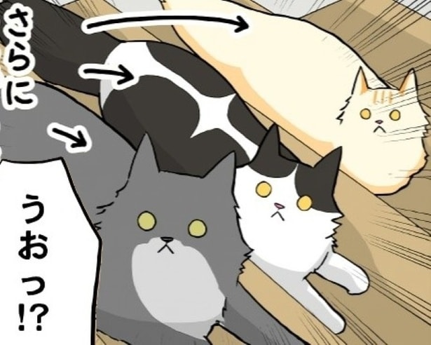 【猫の妨害】宅配便のピンポンに急いで玄関に向かうも階段が下りられない!?リアル“猫踏んじゃった”に!!【作者に聞く】