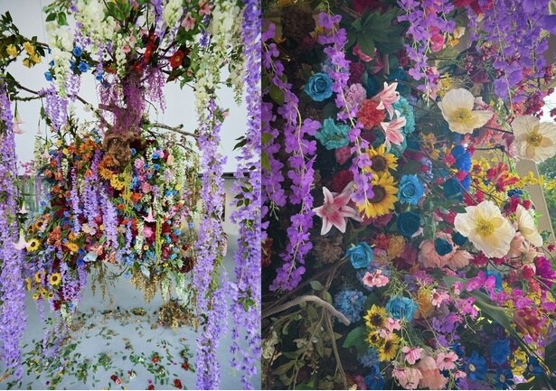 梅交軒《残照》※写真はイメージ