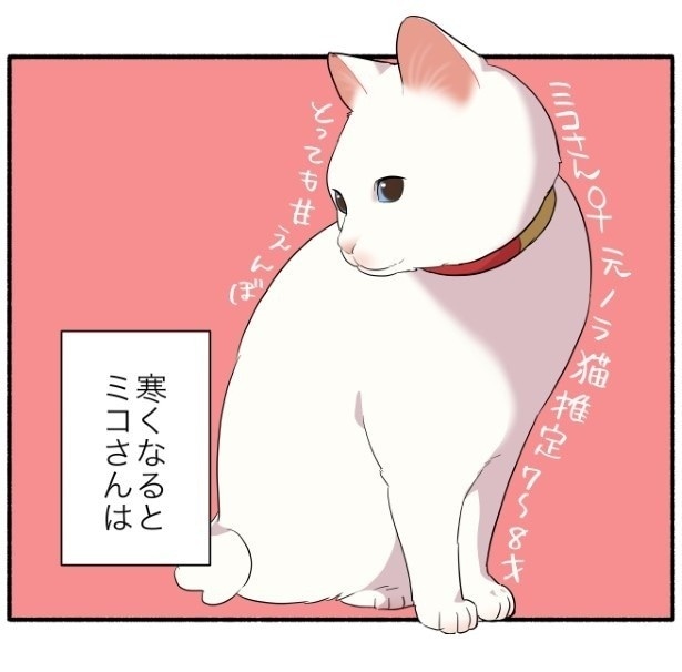 寒いのが嫌いな猫たちが要求してくるものとは…？