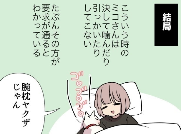 腕枕を断っても結局は猫の思うとおりにされてしまう飼い主の弱さよ…