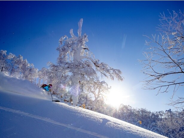 世界中のファンを魅了するドライパウダー。宙に浮くような浮遊感はルスツならでは