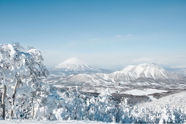 山頂付近からは、樹氷の向こうに羊蹄山を一望！青空と純白の世界、そして雄大な山容が織りなす絶景は息をのむ美しさだ