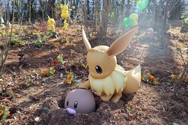さまざまなポケモンの姿を見ることができるポケモンフォレスト