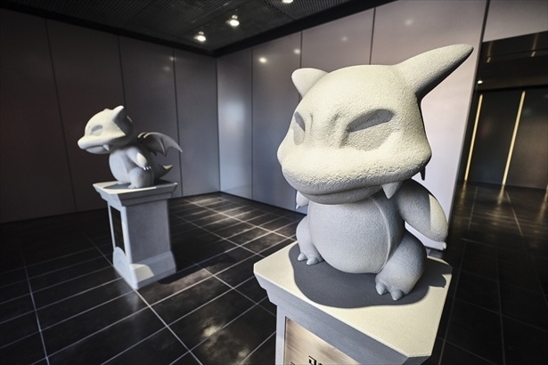 カヤツリジム内