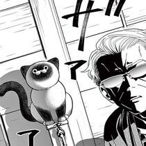 オヤジと猫の仁義なき戦い！「伝説の極道」なのに傍若無人な「まんまる猫」に翻弄される様が愛おしすぎる!!【作者に聞く】