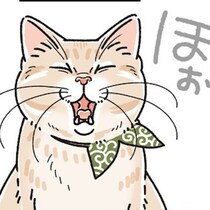【ねこ漫画】猫との運命の出会い!!里親募集からはじまった愛猫との愛おしい日々が猫飼いさんに刺さる【作者インタビュー】