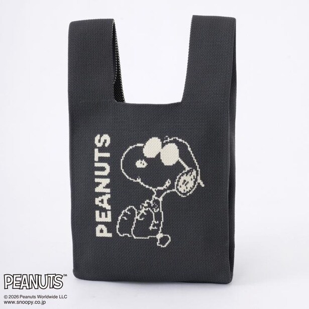 「ニットミニトートバッグ(ブラック)」(1650円)