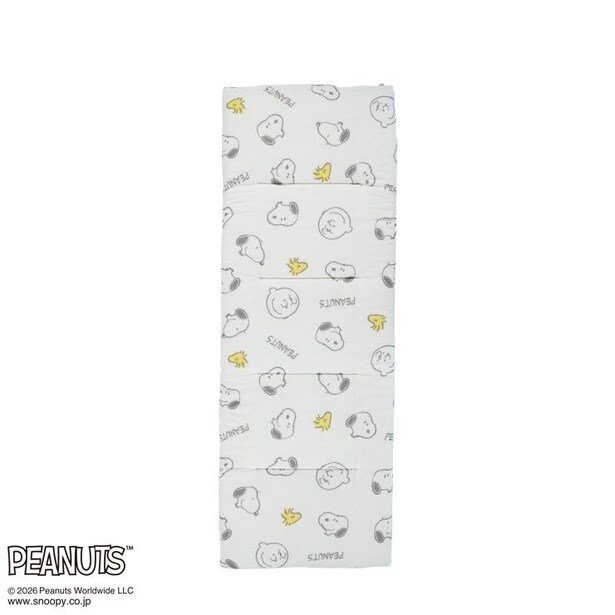 「フリーシートクッション」(2629円)