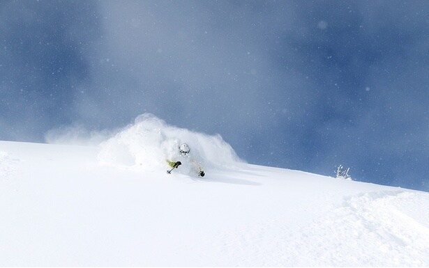 羽毛のように軽い極上の雪質を全身で体感したい