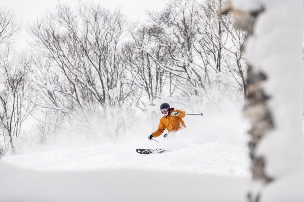 木々の間をすり抜けるツリーランでは、手つかずのディープパウダーを狙えるチャンスも！