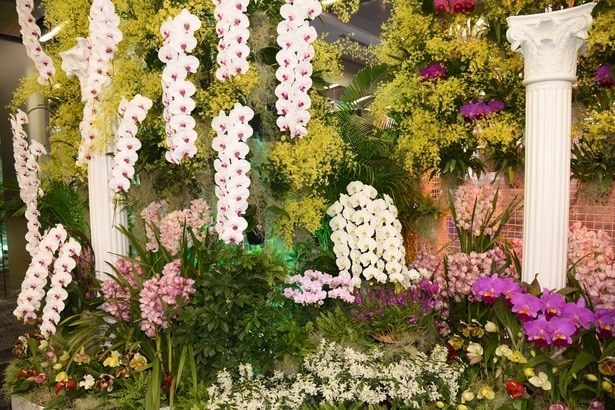 庭園のような雰囲気の「オーキッド・テラス」