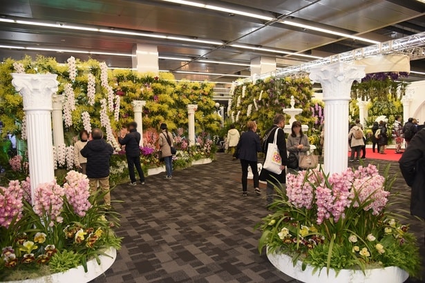 庭園のような雰囲気の「オーキッド・テラス」