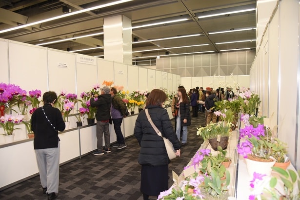 “日本大賞審査部門”の展示コーナー