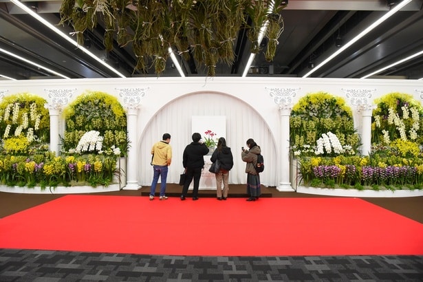 写真映えすること間違いなしの「オーキッド・パレス」