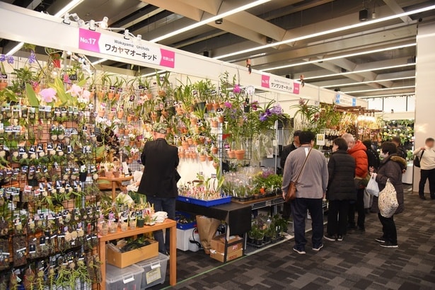 内覧会でも｢花と緑のマーケット｣は大盛況だった