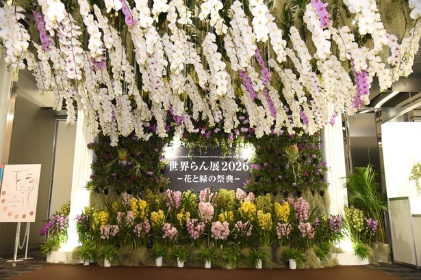 100万輪の蘭が咲き誇る｢世界らん展2026 -花と緑の祭典-｣が開催。「さまざまな蘭をご覧になって“蘭愛好家”になってほしい」と假屋崎省吾も絶賛