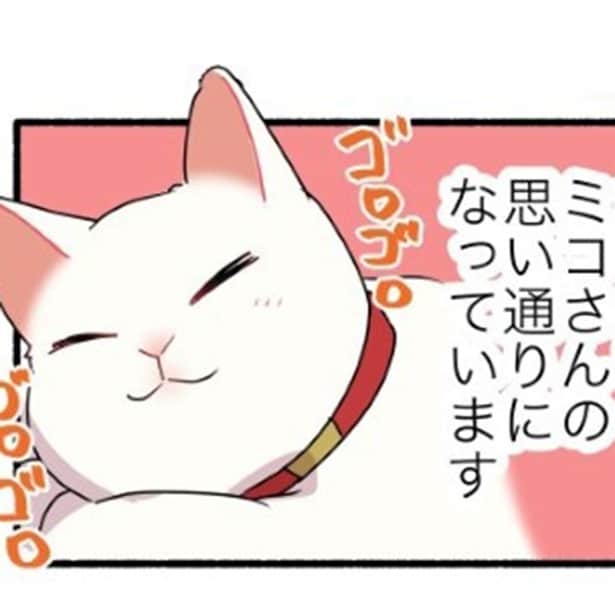 【ねこ漫画】「だいたい猫の思い通りにされてます」猫を飼う＝猫との下僕契約を結ぶようなもん!?猫との攻防戦は敗北ばかり…【作者に聞いた】