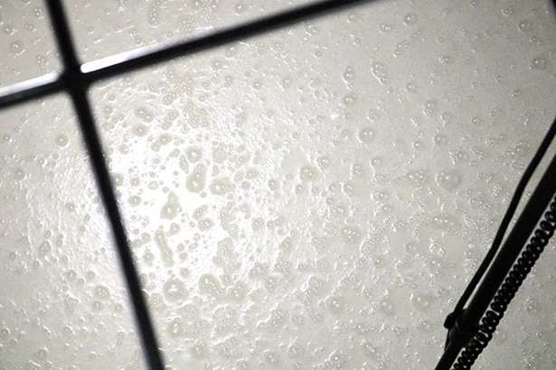 発酵タンクの中は表面の泡もよく見える。今回音を聞いたのは、仕込んで10日目の純米のタンク