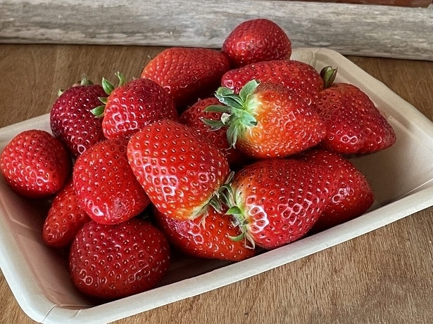 横浜市をはじめ、初参加の3つの自治体・農家のいちごも加わり、計12地域のご当地いちごが登場