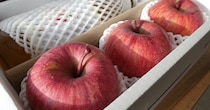 農家直送！福島県国見町産のサンふじ＆100％りんごジュースセットを2月末まで販売中