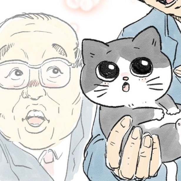 子猫は可愛いのに、中のおじさんはこんな顔をしてる!!