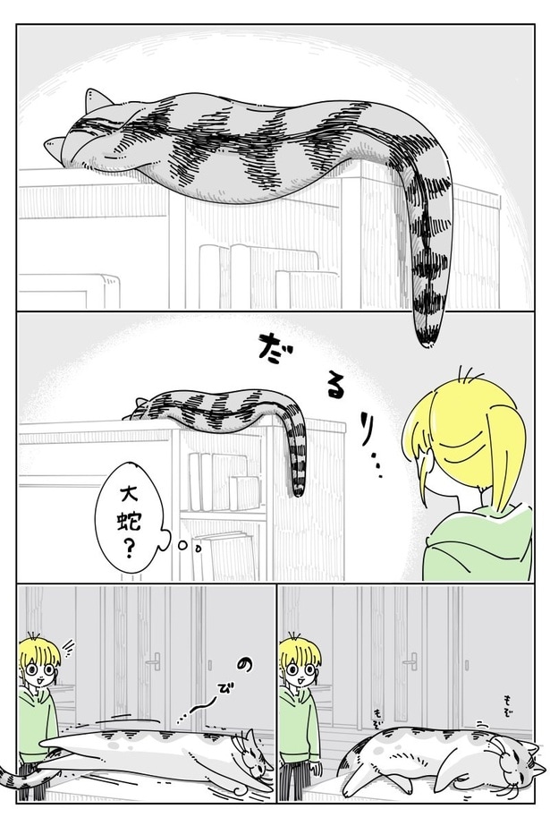 『ネコ時々大蛇』01